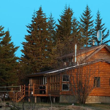 Bear Den Vacation Home Anchor Point Kamer foto